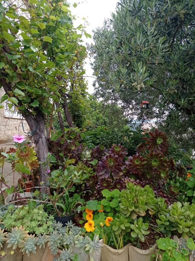 Adrian'S Apartments & Winery Лумбарда Экстерьер фото